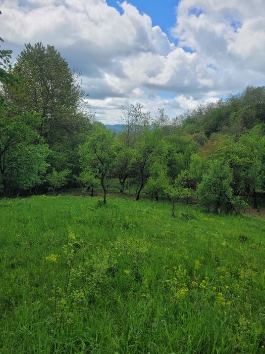 Teren de vanzare Varfuri, Dambovita