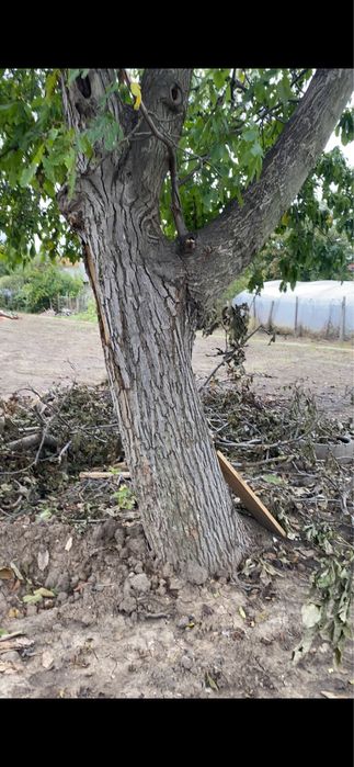 Орех за материал