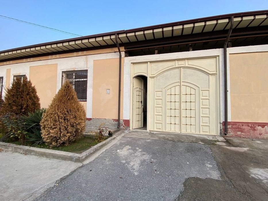 Kotej sotiladi mindonobod