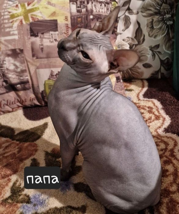 Малышка ищет маму и папу!