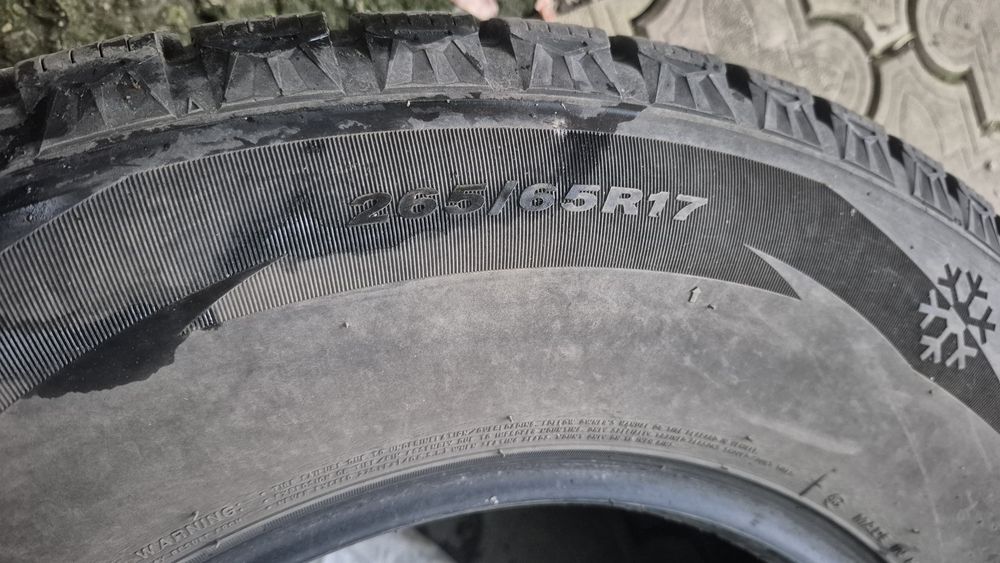 Шины Roadstone зимние шипованные
