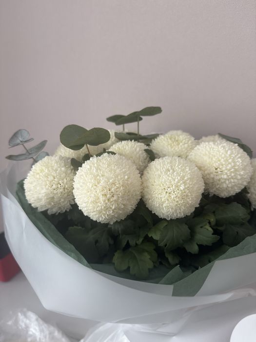 Букет цветов цветы