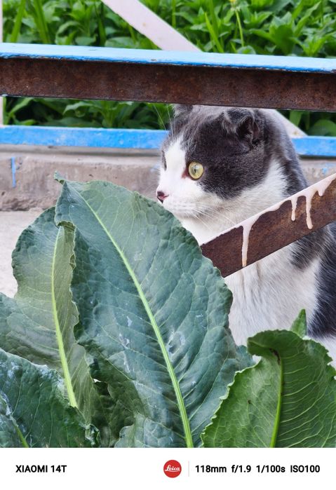 Телефон Xiaomi 14T черный цвет