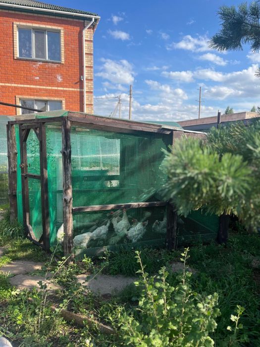 Продам коттедж в Талапкере