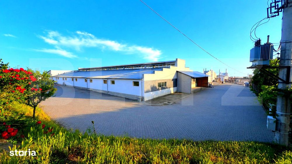 Proprietate industriala, hale 3.343 mp, teren 9.814 mp, zona Blaj