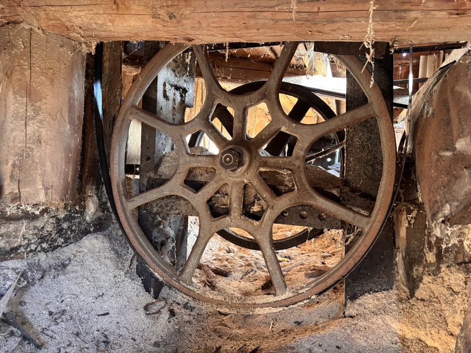 Vând banzic vertical