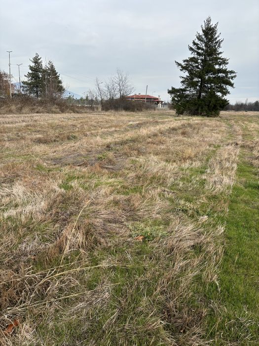 Продава се Парцел в с. Овощник, Област Стара Загора - 5000 кв.м за 50 €/кв.м - Снимка #6