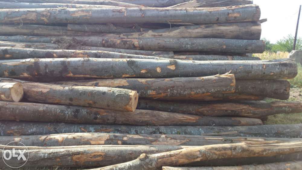 Vand lemne de foc,Nanov Teleorman