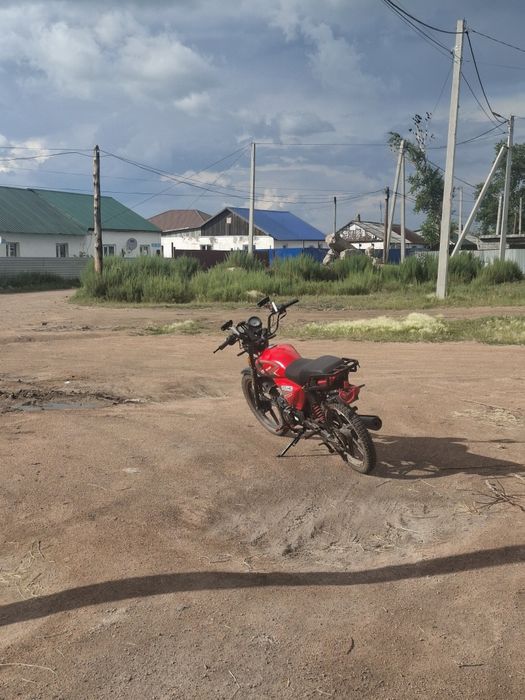 Альфа стс мото 110куб