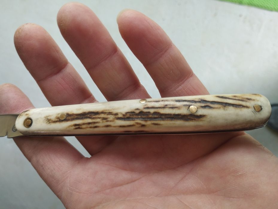 Дегустатурска ножка