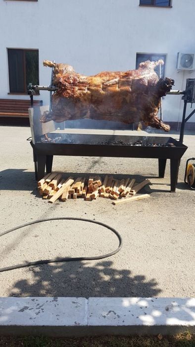 Protap rotisor animale - vitel purcei miei nunti botezuri evenimente