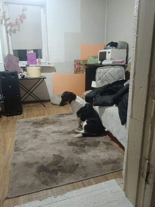 Продам зимнюю дачу в городе