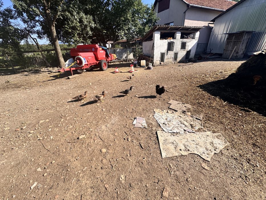 Vând rețe: 70 lei rățoi, 50 lei rață