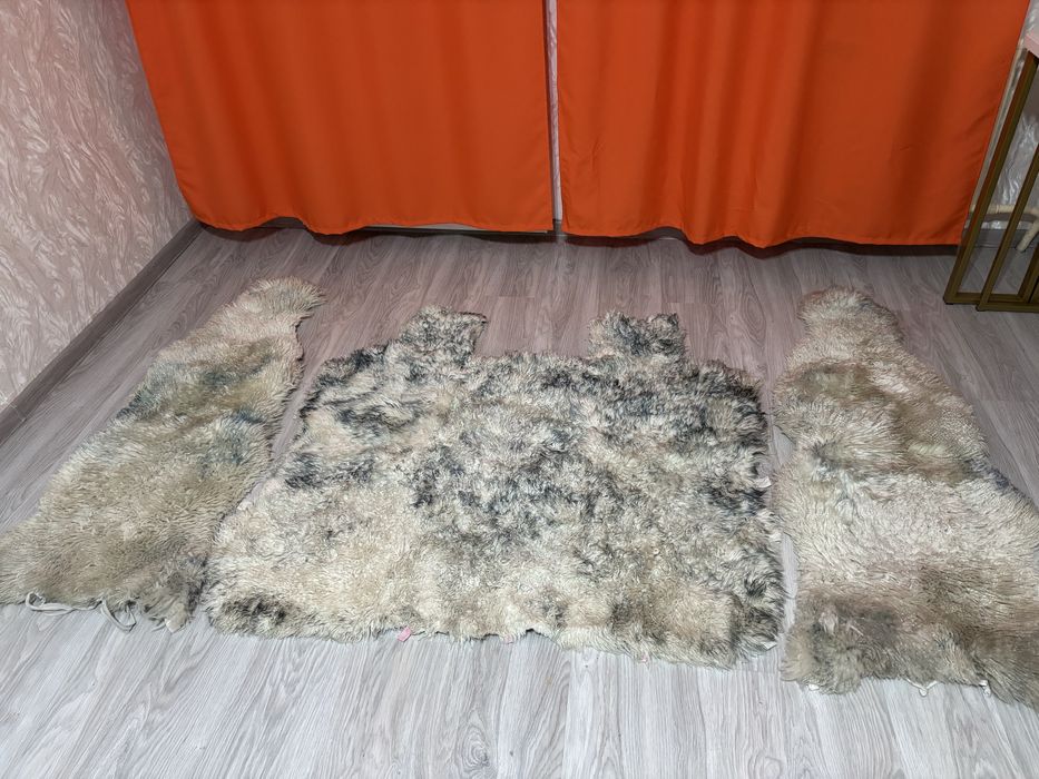 Продам чехлы на машину