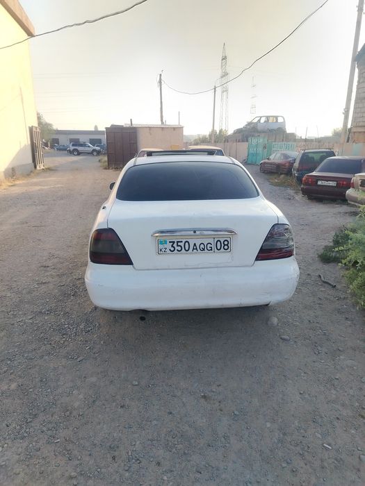 Дайво леганзе на разбор