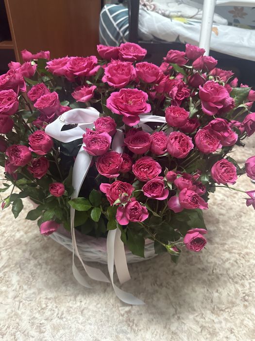 бүгін келді 25-30 келисемызз