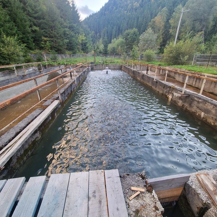 De vânzare teren cu păstrăvărie si căsuțe