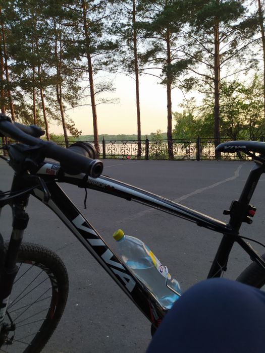 Продам Viva Garrick