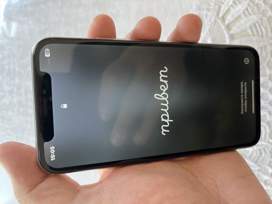 iPhone X