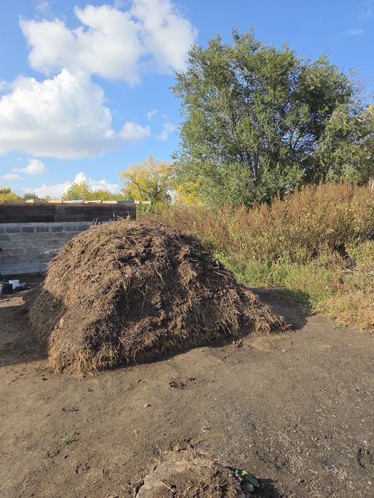 Отдаю бесплатно навоз