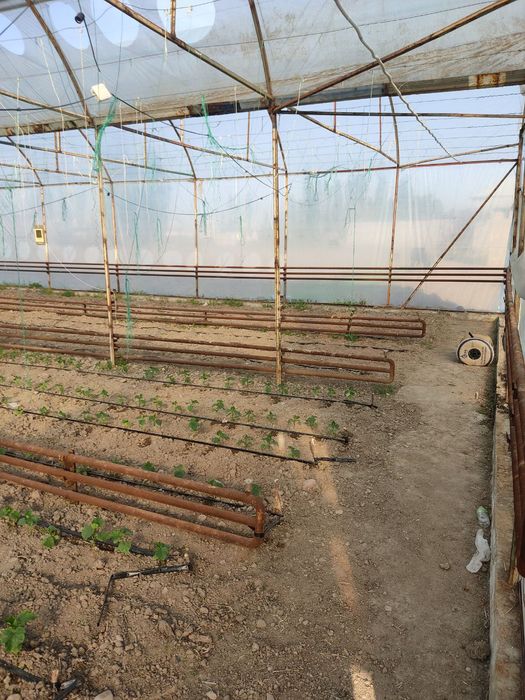 Участка сотилади 15 сотих кадастир дакументлари жойида