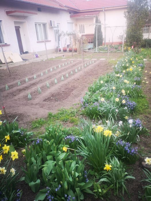 Продава се Къща в Долни Дъбник - 50 кв.м за 900 €/кв.м - Снимка #12