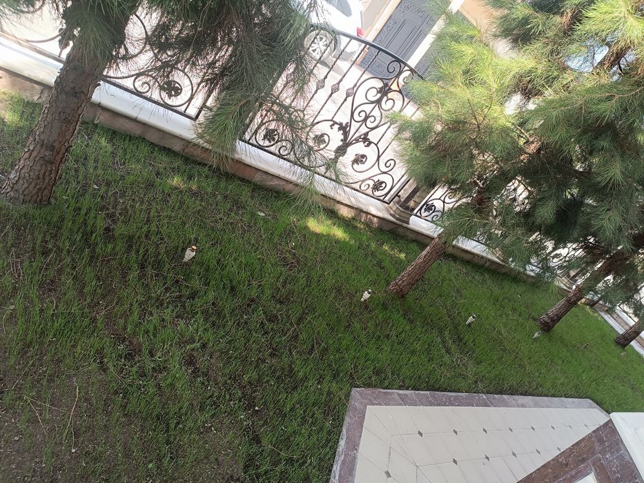 Bogʻbonchilik hizmati