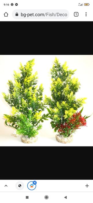 Изаботване на креди и разтения