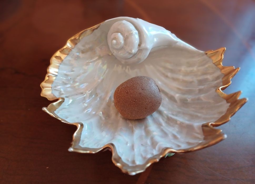 Фарфоровая раковина СССР Городница