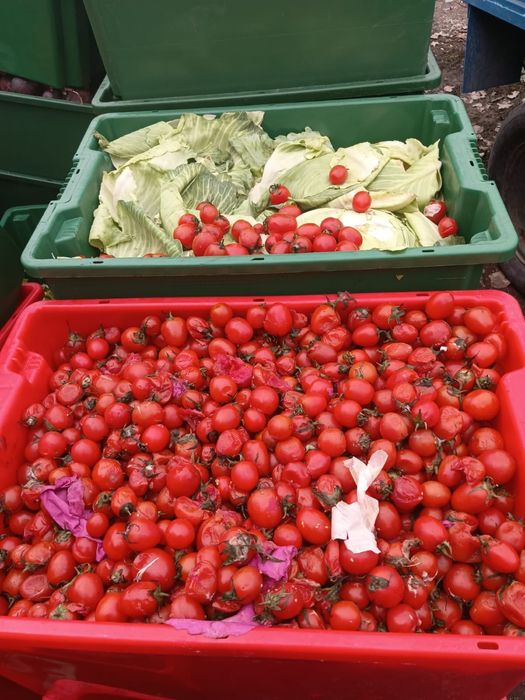 Отходы для сель хоз животных