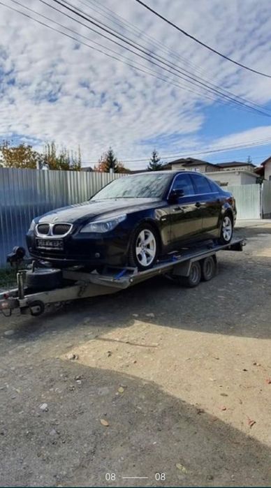 Transport animale,auto/închirieri remorci