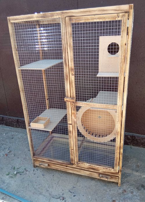 Клетка для белки, белок, белочек