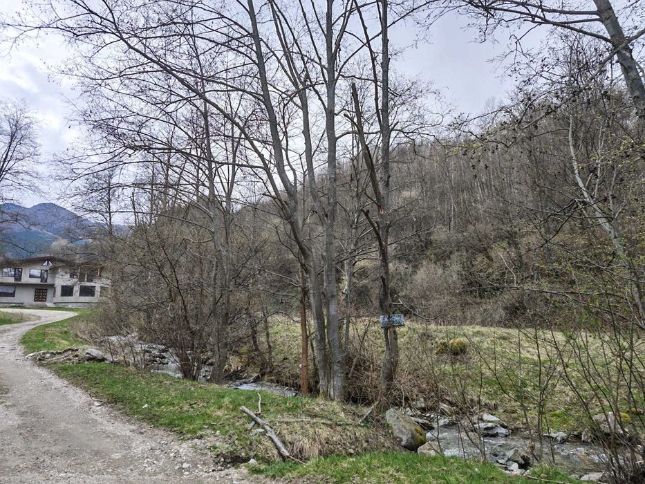 Teren superb 6.855 mp în Vulcan – Zona Schitul Sf. Nicolae