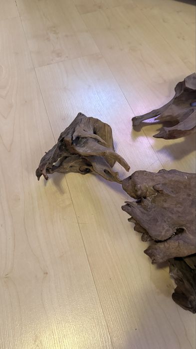 Мангровые коряги