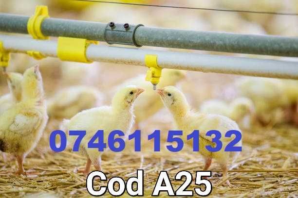 Gaini pui rate fazani prepelite porumbei-ADAPATORI-Prindere rapida-A25