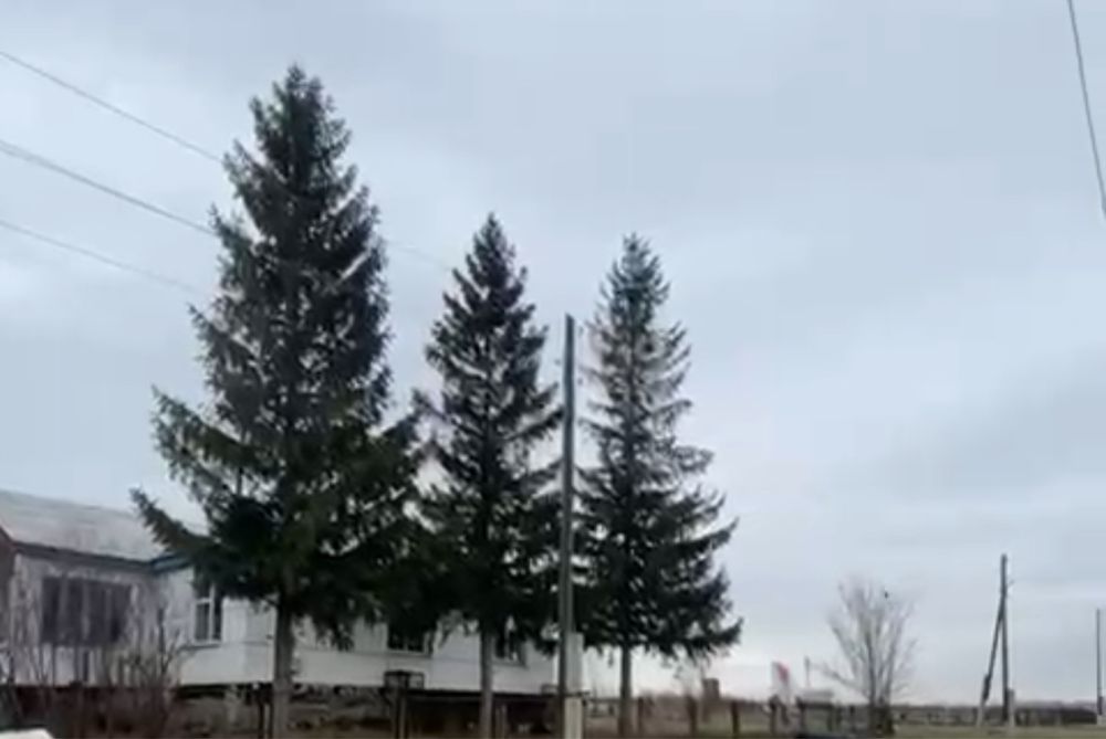 Продам дом в селе Донское ВКО Уланский район