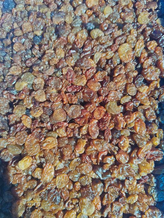 Стафида Тъмна/Златна - 5 кг кашони