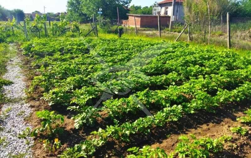 Продава се Къща в с. Драгомир, Област Пловдив - 160 кв.м за 313 €/кв.м - Снимка #4