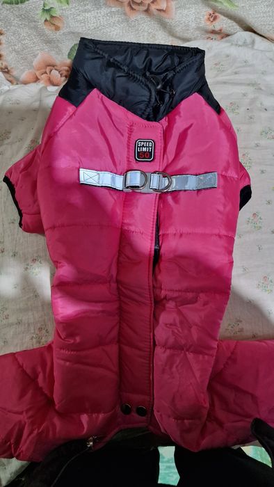 одежда для собак новый