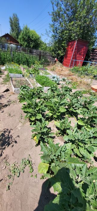 Продам двухэтажный дом в Согре