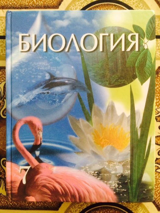 Учебники по предметам