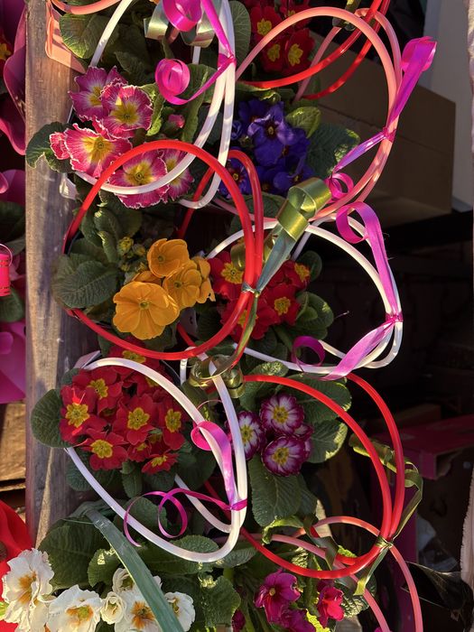 Flori naturale la preț redus