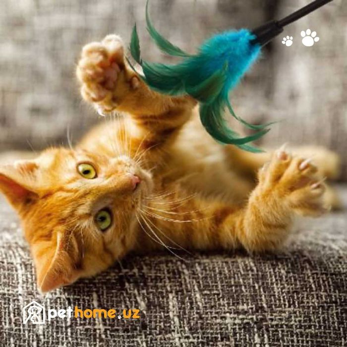 Дразнилка GiGwi Feather Teaser