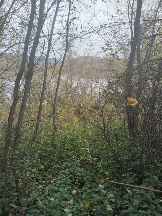 Участок на 42 км