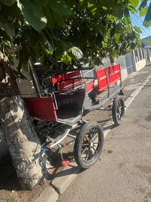 Vănd Trăsură Maraton