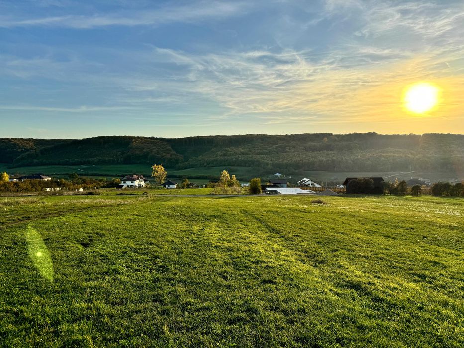Teren intravilan 5487 mp în localitatea Betfia, comuna Sânmartin
