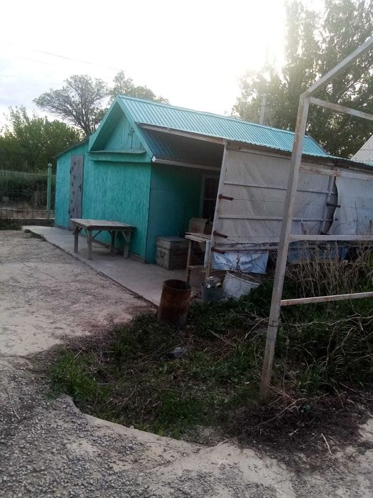 дача с хозяйством