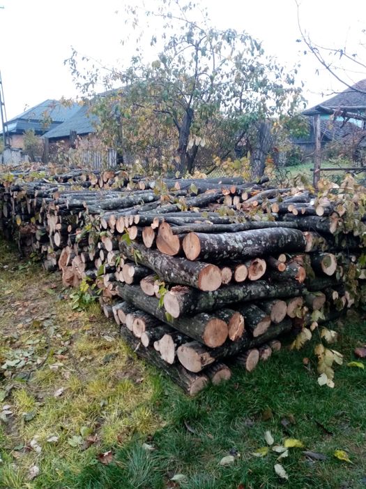 Lemne de foc esență tare