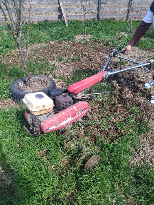 Motocultor Profesional Honda F560