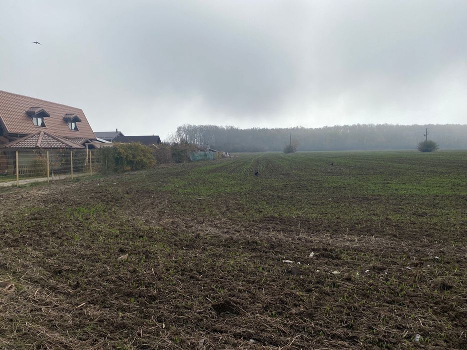 Teren intravilan Snagov Padure 42€/mp